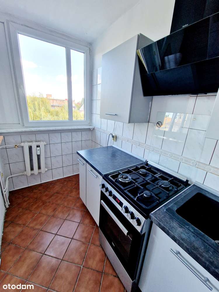 Mieszkanie dwa pokoje, Strzegom-6