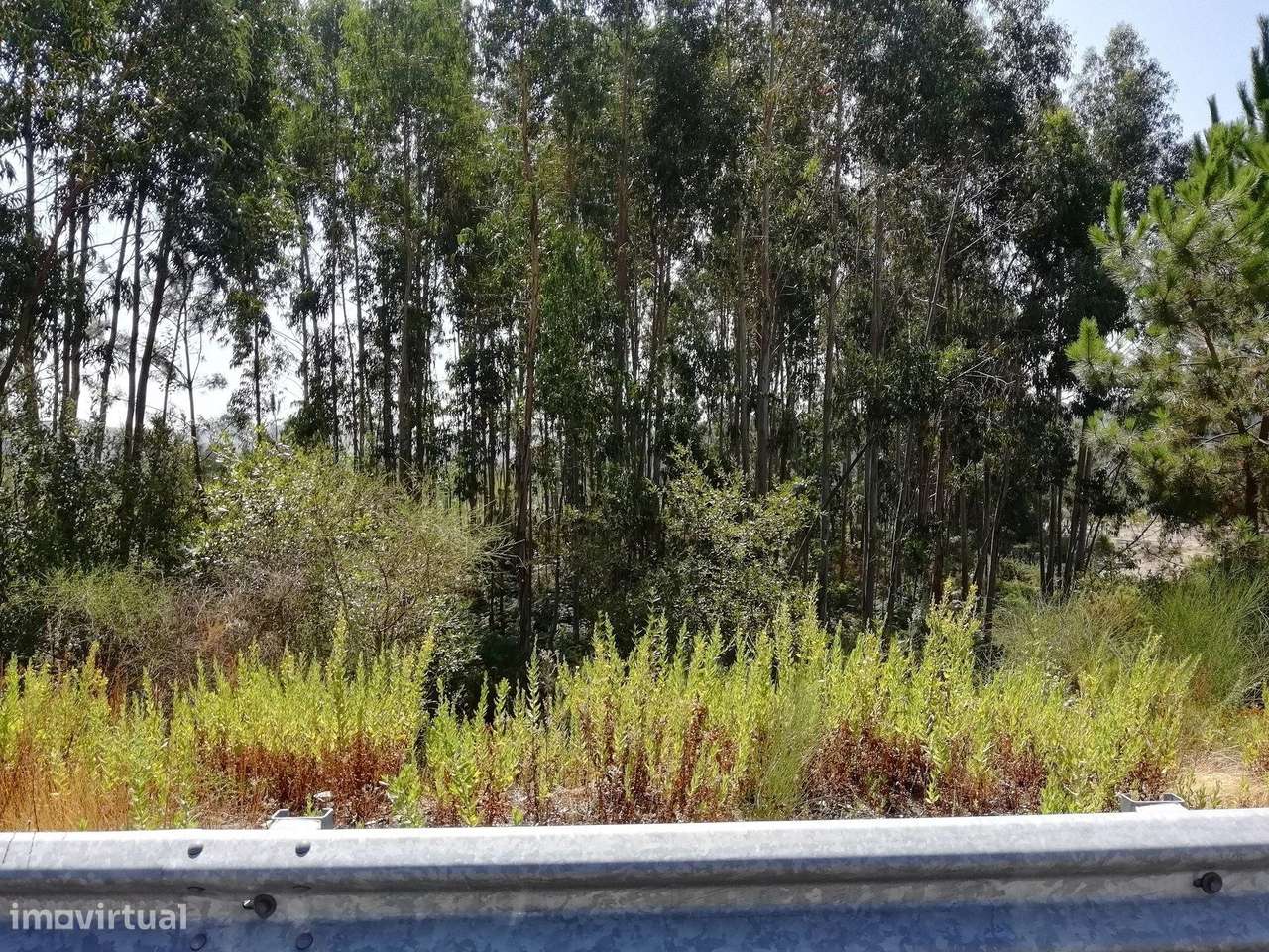 Terreno com 7801 m2 em Sandim - Grande imagem: 4/15