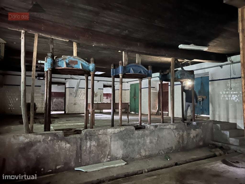 Lagar em Coimbra - Torres do Mondego (Coimbra) Portugal-27