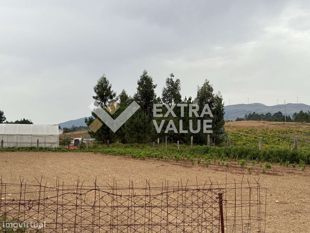 Quinta T6 Venda em Fontoura,Valença-18