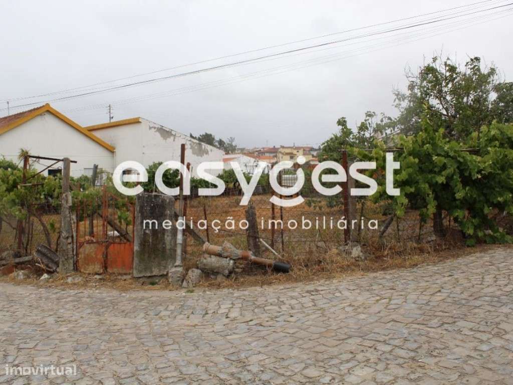 Terreno rústico em Vieira de Leiria com viabilidade de construção - Grande imagem: 3/4