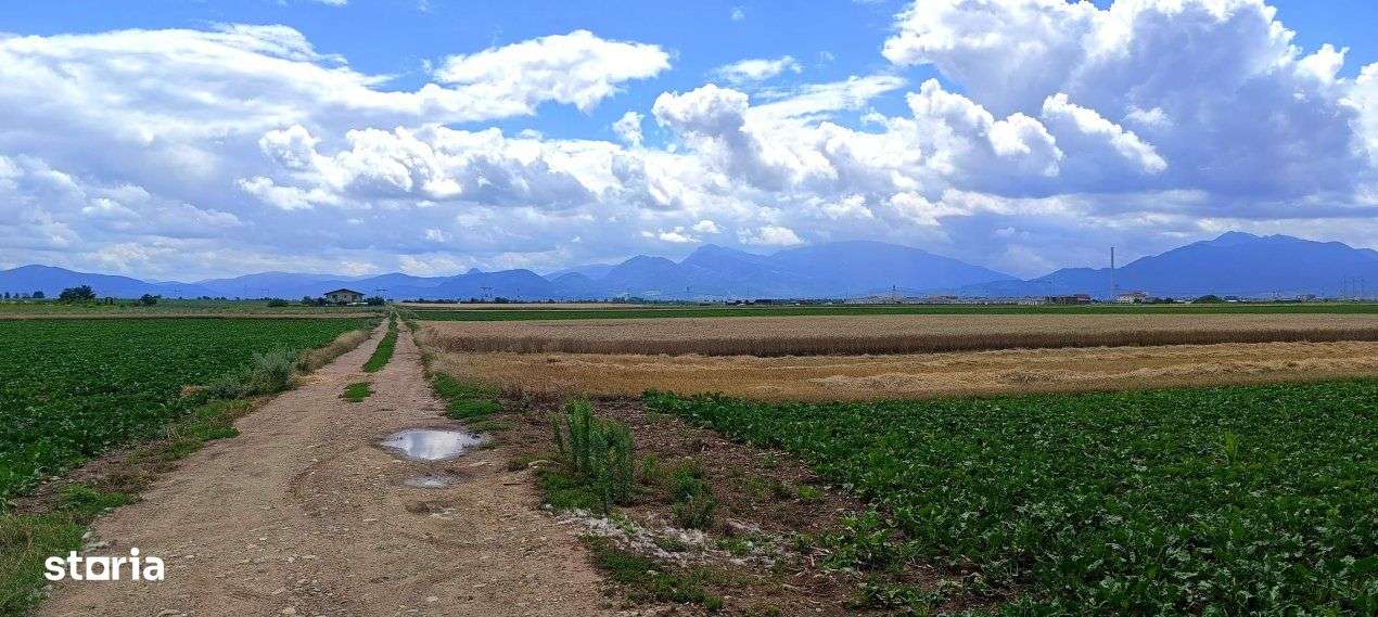 Teren parcelabil , Harman - Zona Aleea 14 - Imagine principală: 4/5