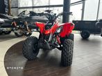 Can-Am DS - 4