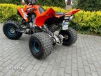 Yamaha Raptor - 6