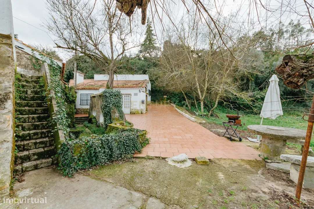 Moradia Rústica T3 em Almoster - Grande imagem: 4/36