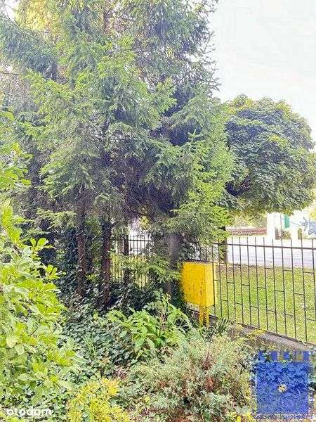 Gliwice, Szobiszowice, toszecka, 62-19