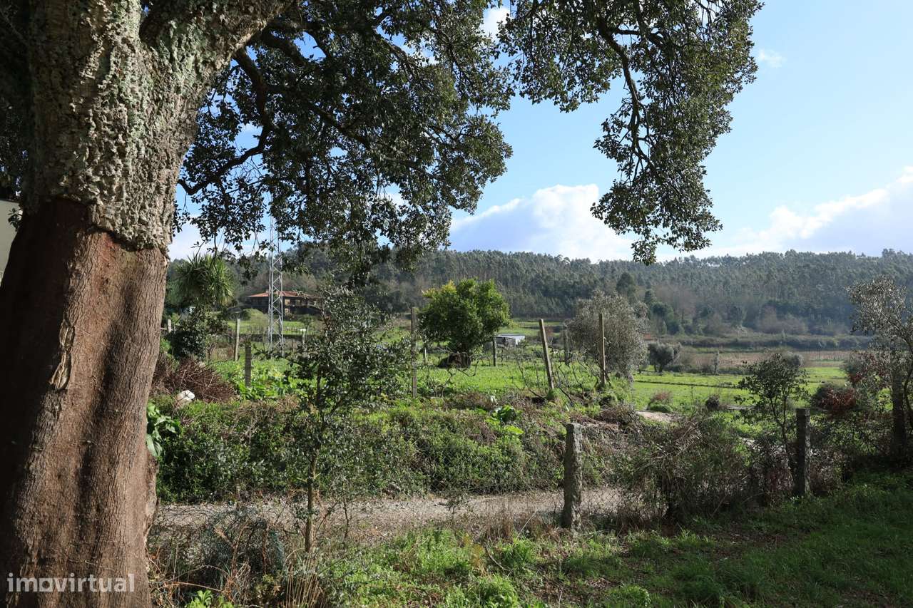 Quinta dos Moinhos e pavilhão-16