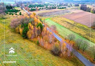 Działki (1000 m2 lub 1989m2) przy Narwi, natura✔ - Pełny obrazek: 2/6