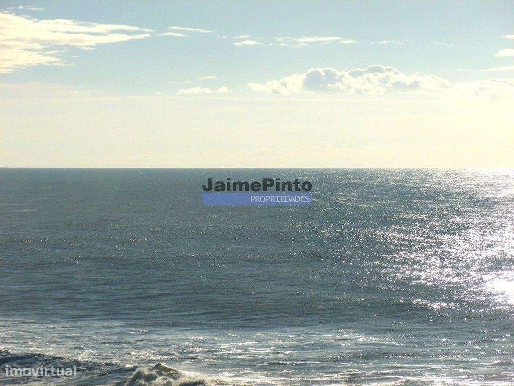 Restaurante de Prestígio. Portugal, Porto, Matosinhos. - Grande imagem: 5/5