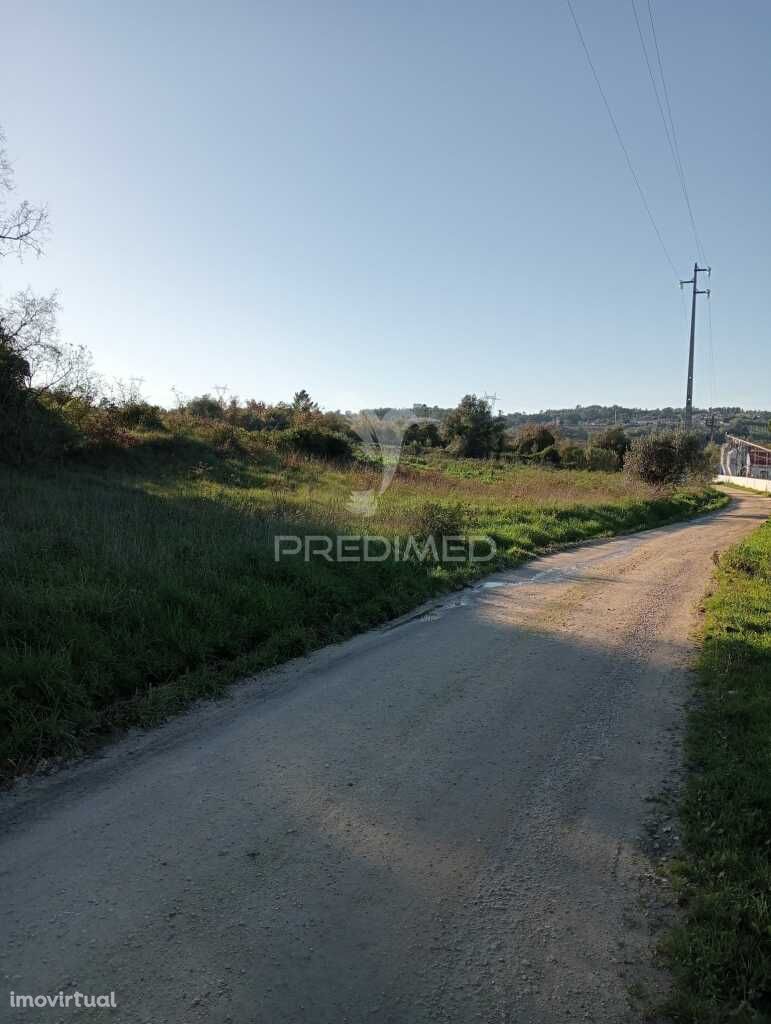 Terreno Rustico - Ribeira de Baixo, Porto de Mós