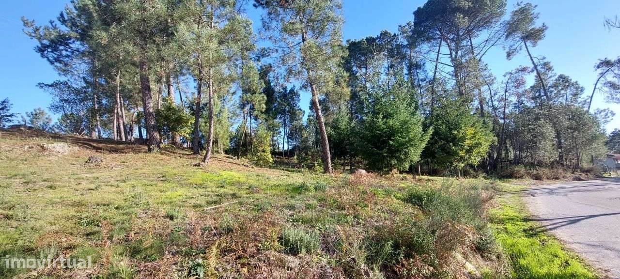 Terreno para Construção Soutulho - Viseu-9