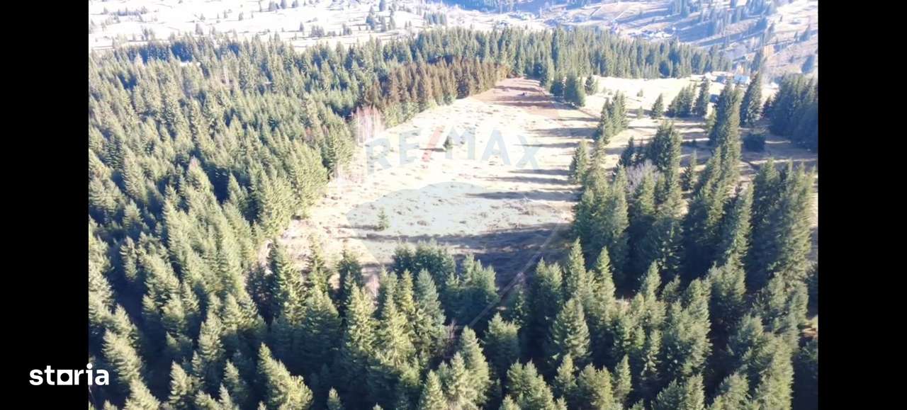 Teren 16,289mp Coverca / Drumul Bucinis-5