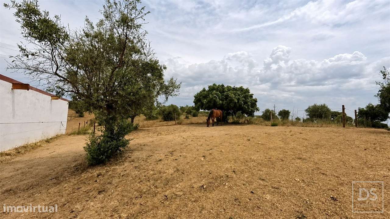 Quinta T7 Venda em Achete, Azoia de Baixo e Póvoa de Santarém,Santarém-23