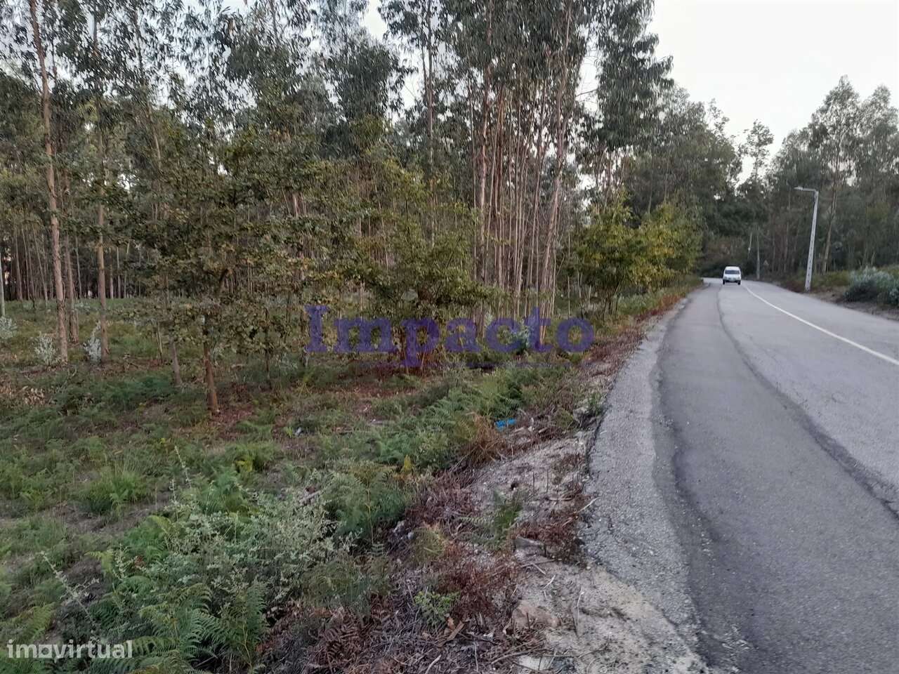 Terreno em Madail, Oliveira de Azeméis - Grande imagem: 5/8