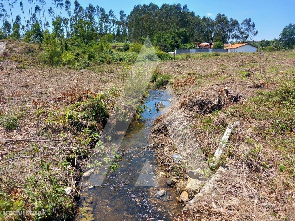 Terreno rústico em Válega - Avanca - Grande imagem: 5/12
