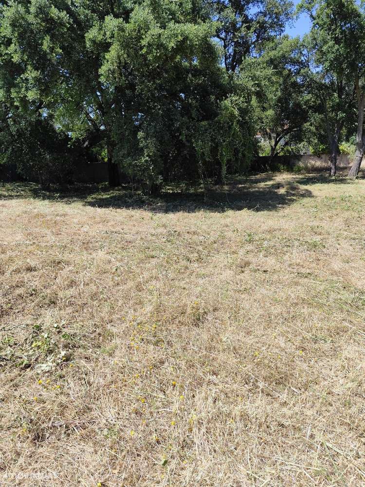 Terreno de 1110m2 Urbano, Oportunidade única - Grande imagem: 2/5