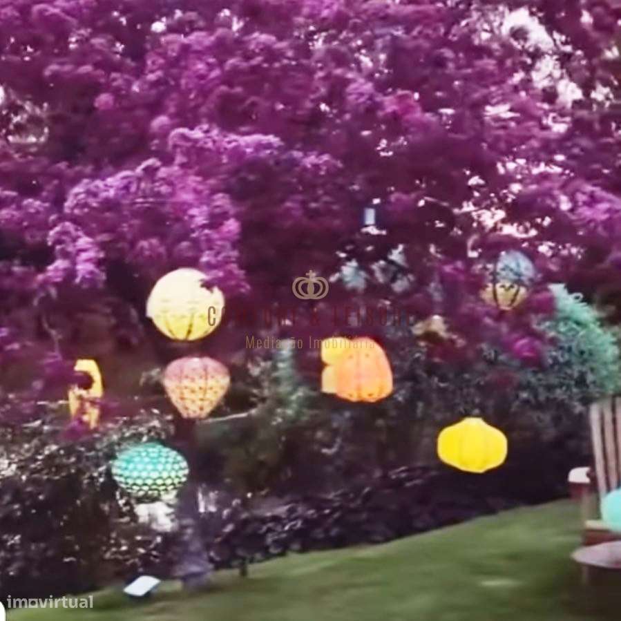 Quinta T5 Venda em Évora Monte (Santa Maria),Estremoz-37