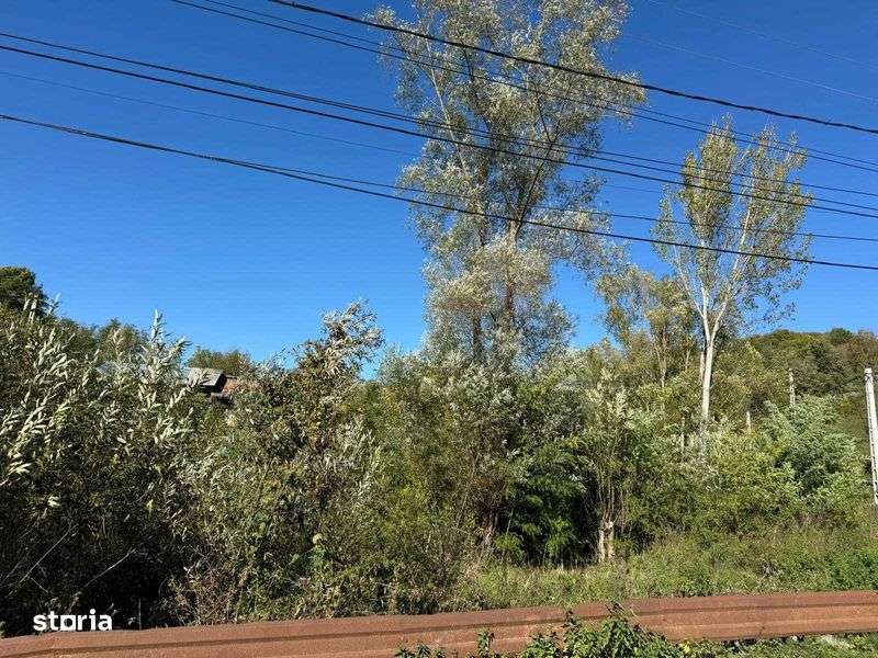 Teren intravilan cadastrat 7007 mp casa sau ferma in Bezdead Dambovita - Imagine principală: 5/8