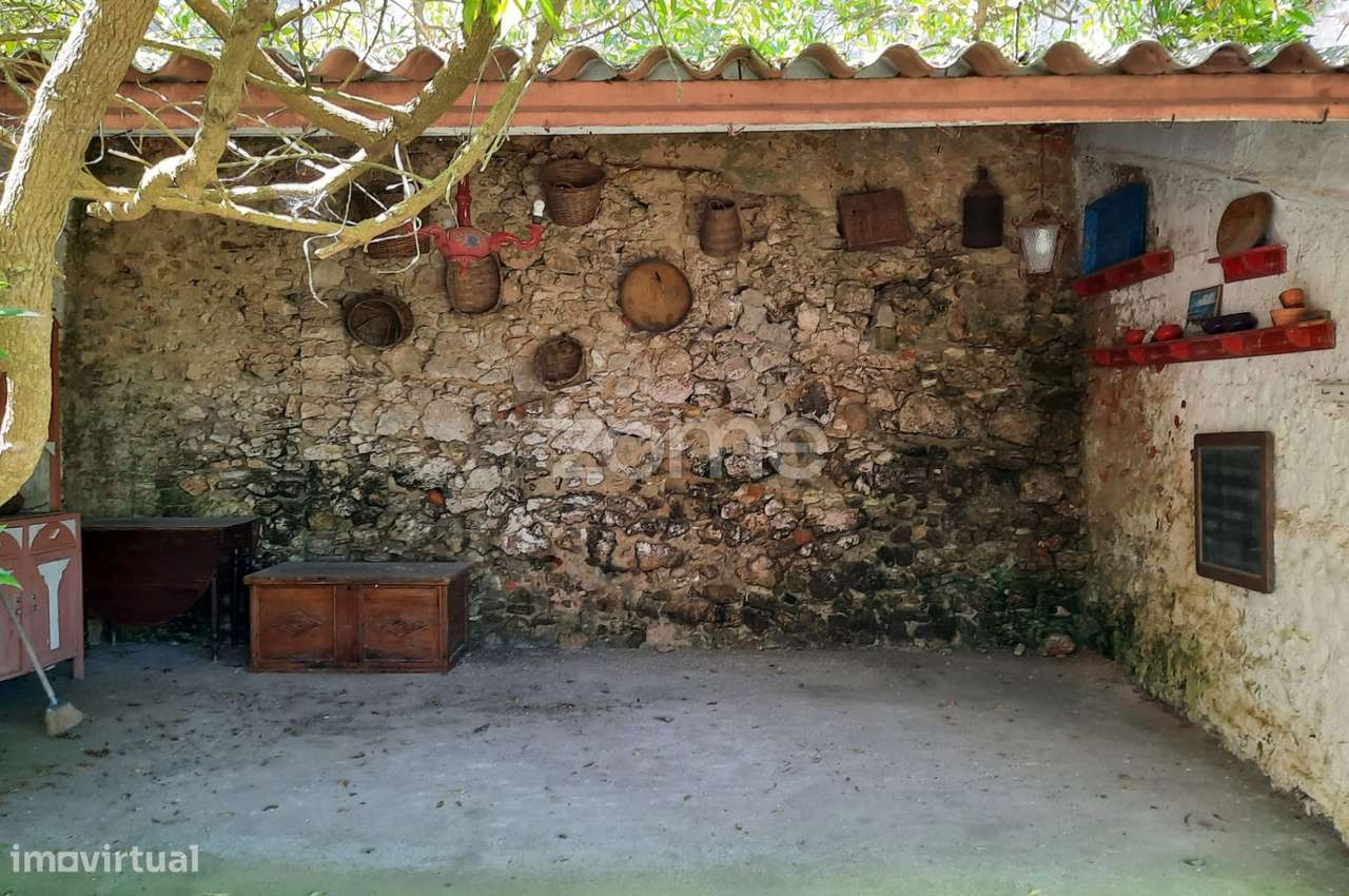 T10 no melhor Sitio da Nazaré-25