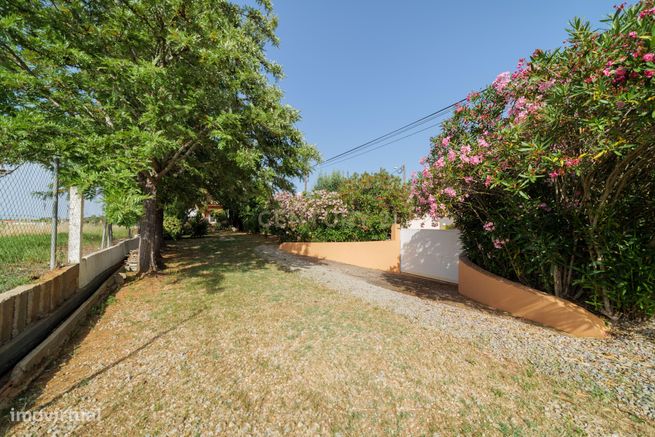 Moradia Isolada T3 com Jardim e Garagem em Bernardinheiro, Tavira-33