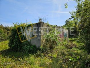Armazéns Agrícolas e Casa de Habitação inseridos em Terreno Rústico... - Grande imagem: 2/22