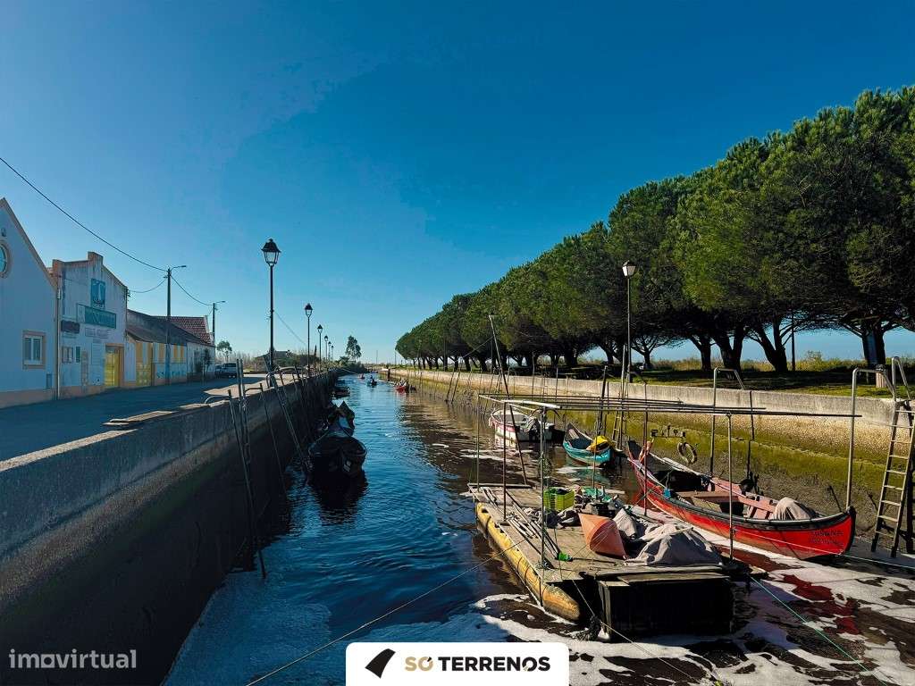 Terreno construção - Murtosa - Grande imagem: 5/5