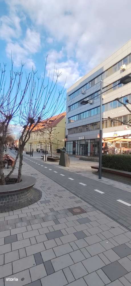 Spațiu Comercial de Închiriat – 80 mp – Central – Str. Corneliu Coposu - Imagine principală: 5/8