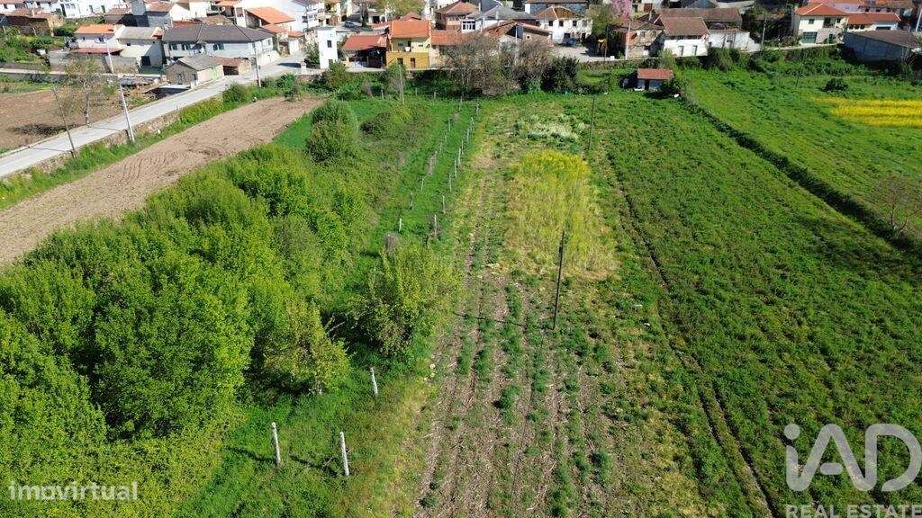 Terreno em Veiga de Lila de 8990,00 m2 - Grande imagem: 4/14