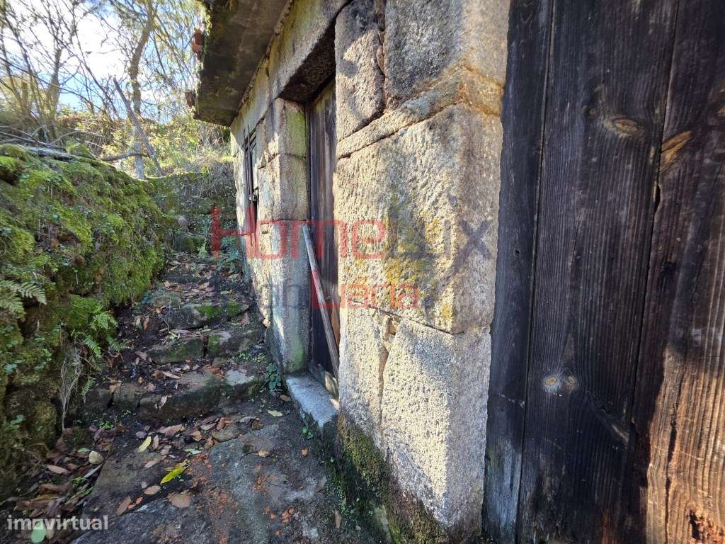 Moradia para reconstrução em Rossão - Grande imagem: 5/21