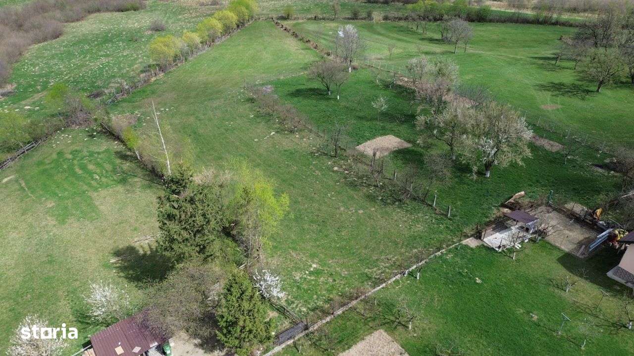 BRAN, PREDELUT -TEREN INTRAVILAN 4,000 MP - Imagine principală: 3/20