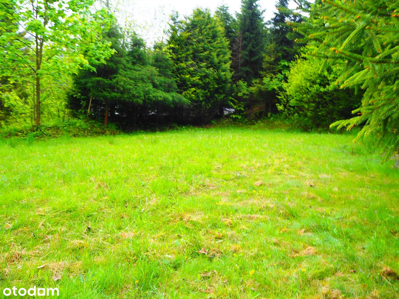 Działka na sprzedaż w malowniczej okolicy - Pełny obrazek: 3/3
