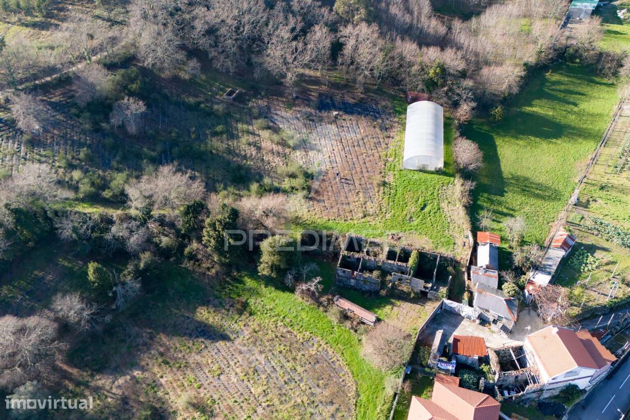 Quinta com casa 300M2 em Serzedelo, Póvoa de Lanhoso, Braga - Grande imagem: 4/23