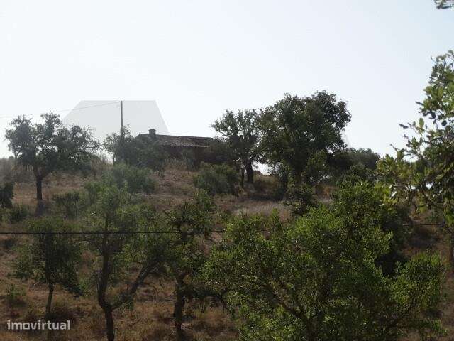 PREÇO NEGOCIÁVEL: PROPRIEDADE COM DUAS RUÍNAS, POÇOS E ELETRICIDADE - - Grande imagem: 5/19