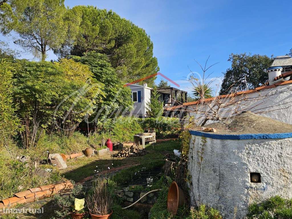 Propriedade de 27ha com moradia de 84m2 e ruina de 90m2 - Odemira-18