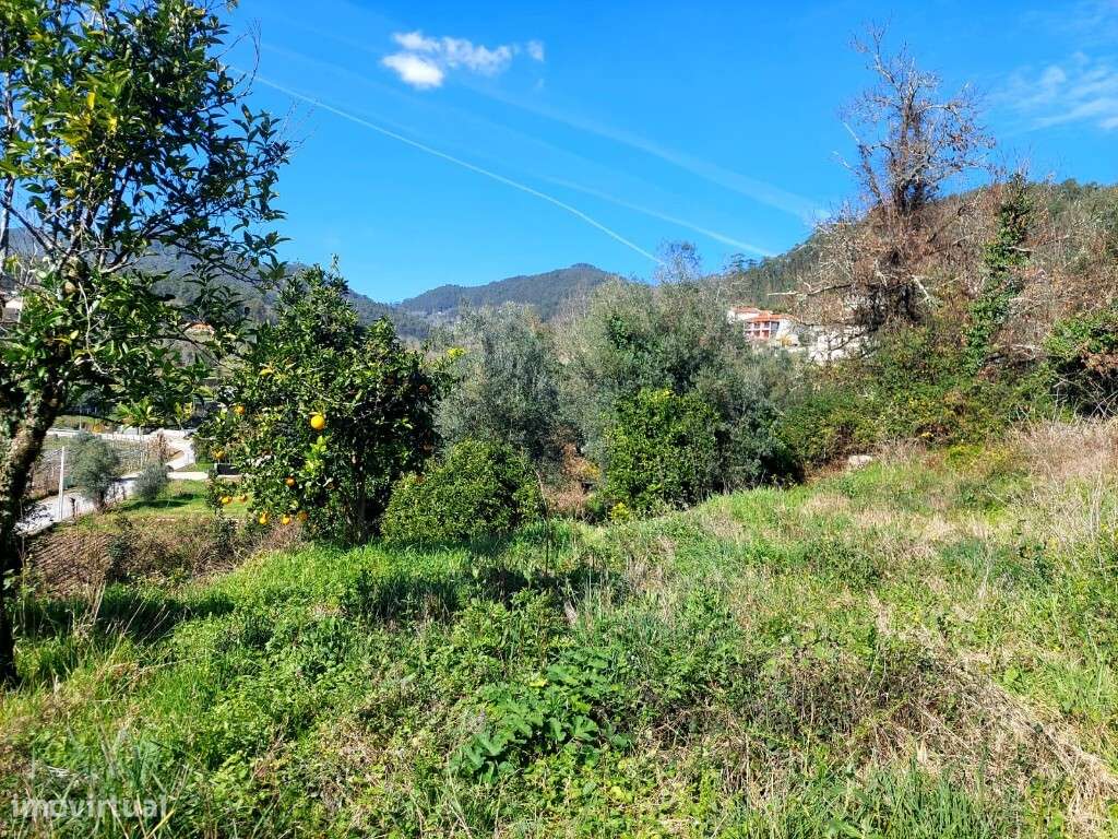 Terreno - Goães - Grande imagem: 4/8