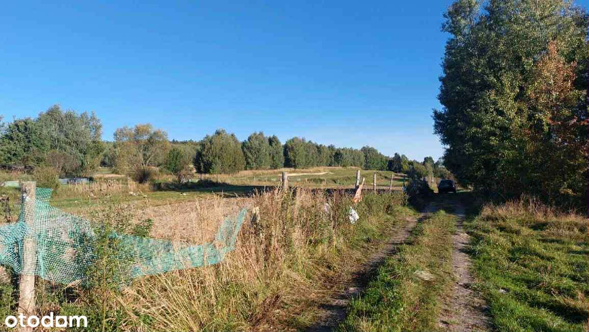 Nieruchomość Leśna 15 km od Kielc Pełna Własność z KW - Pełny obrazek: 5/5