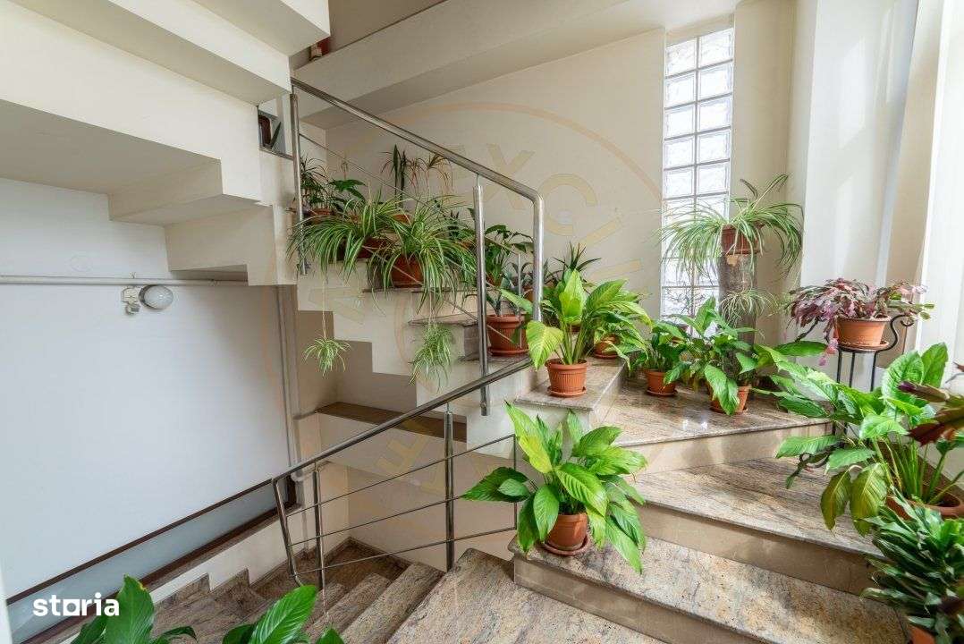 Casa P+3E+M cu spatiu comercial - ultracentral Pitesti - Imagine principală: 3/19