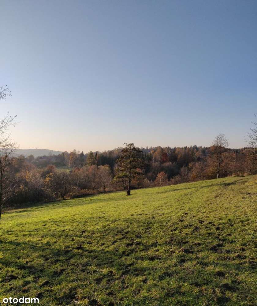 Działka budowlana z terenami zielonymi, 24a