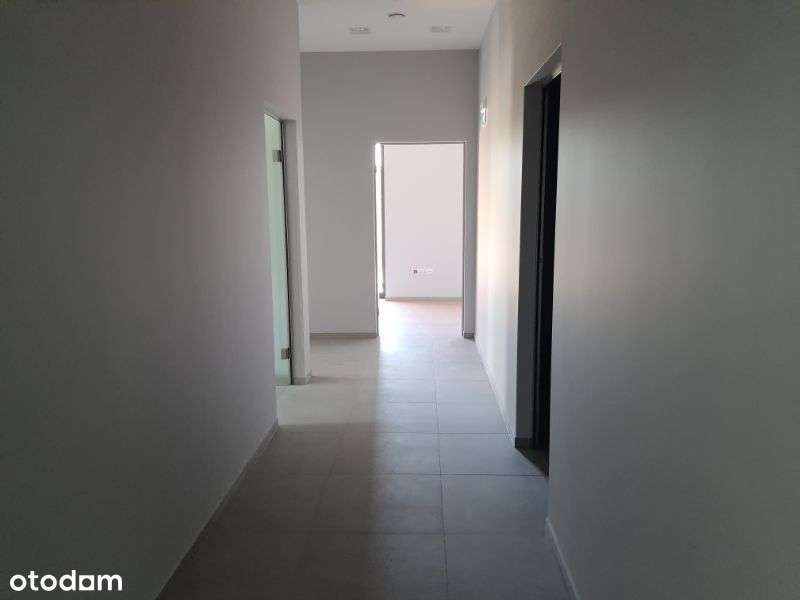 Produkcja magazyn wys. 8m doki, brama 0 - Pełny obrazek: 4/7