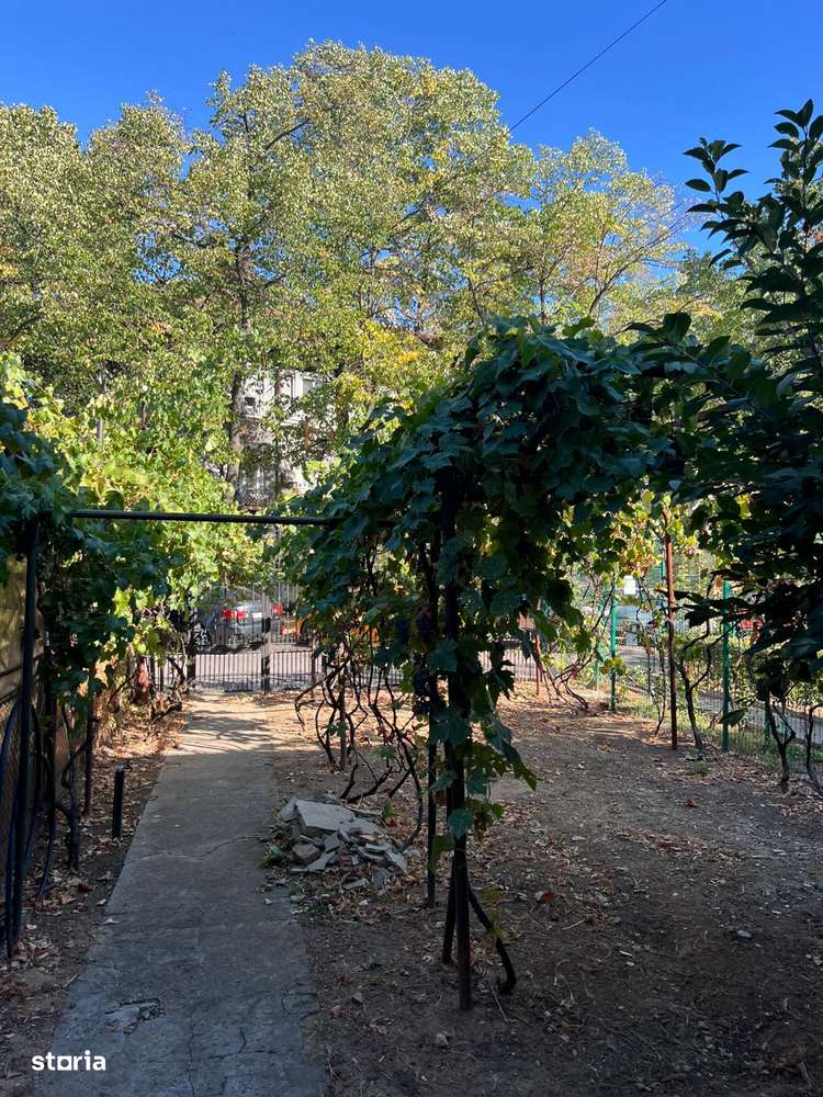 vila parcul Puskin - scoala 22 "Mircea Eliade" - Imagine principală: 5/10