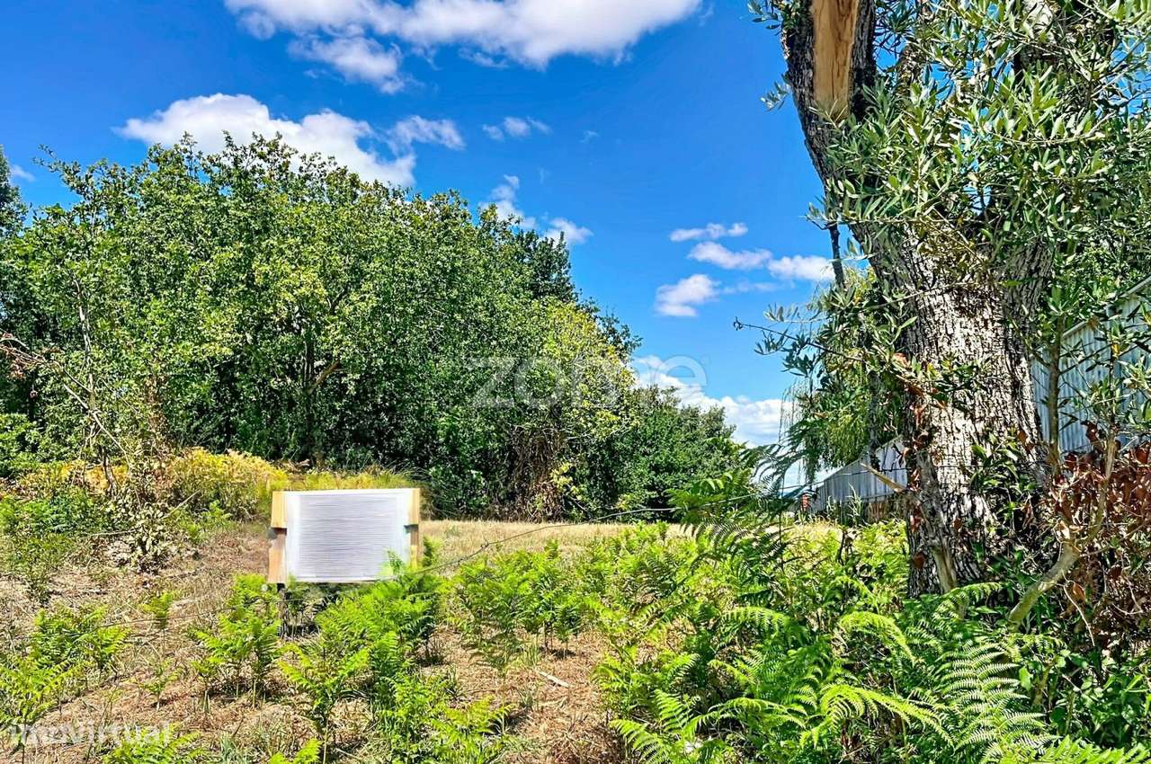 Terreno Misto em Aradazubre 1560 m²-10