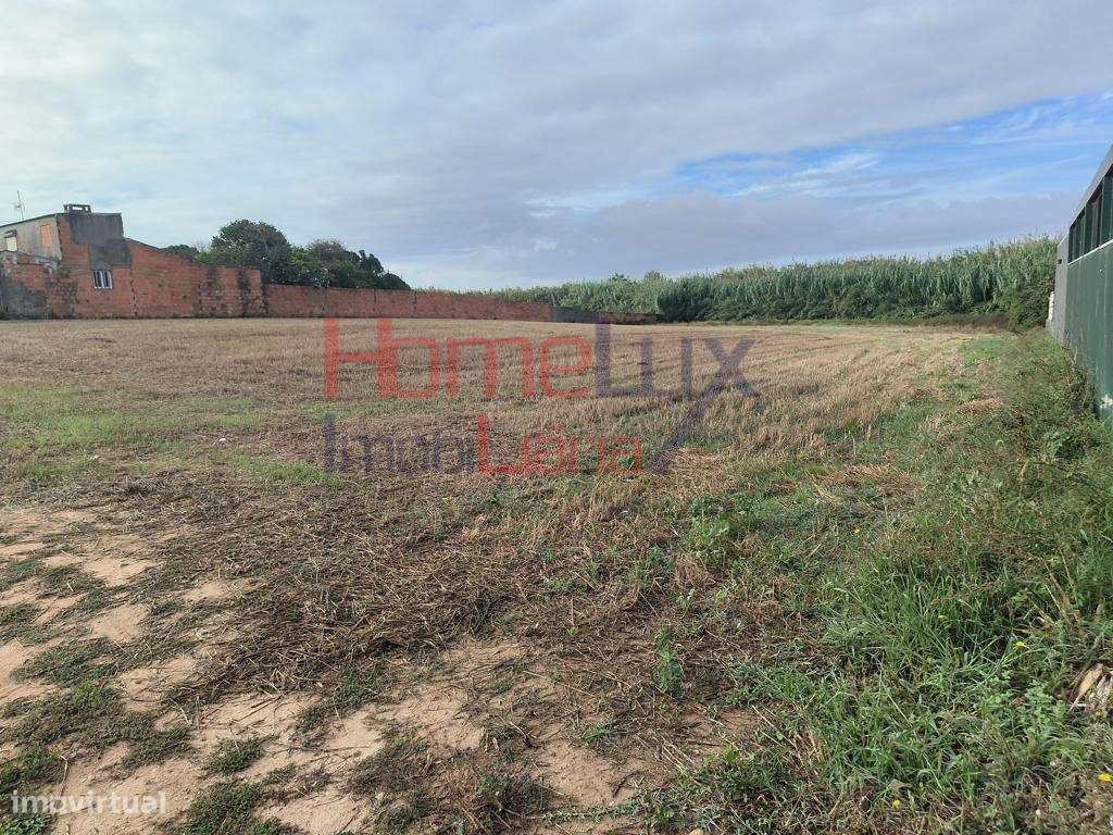 Terreno Urbano com 43.56m² Frente. - Grande imagem: 3/4