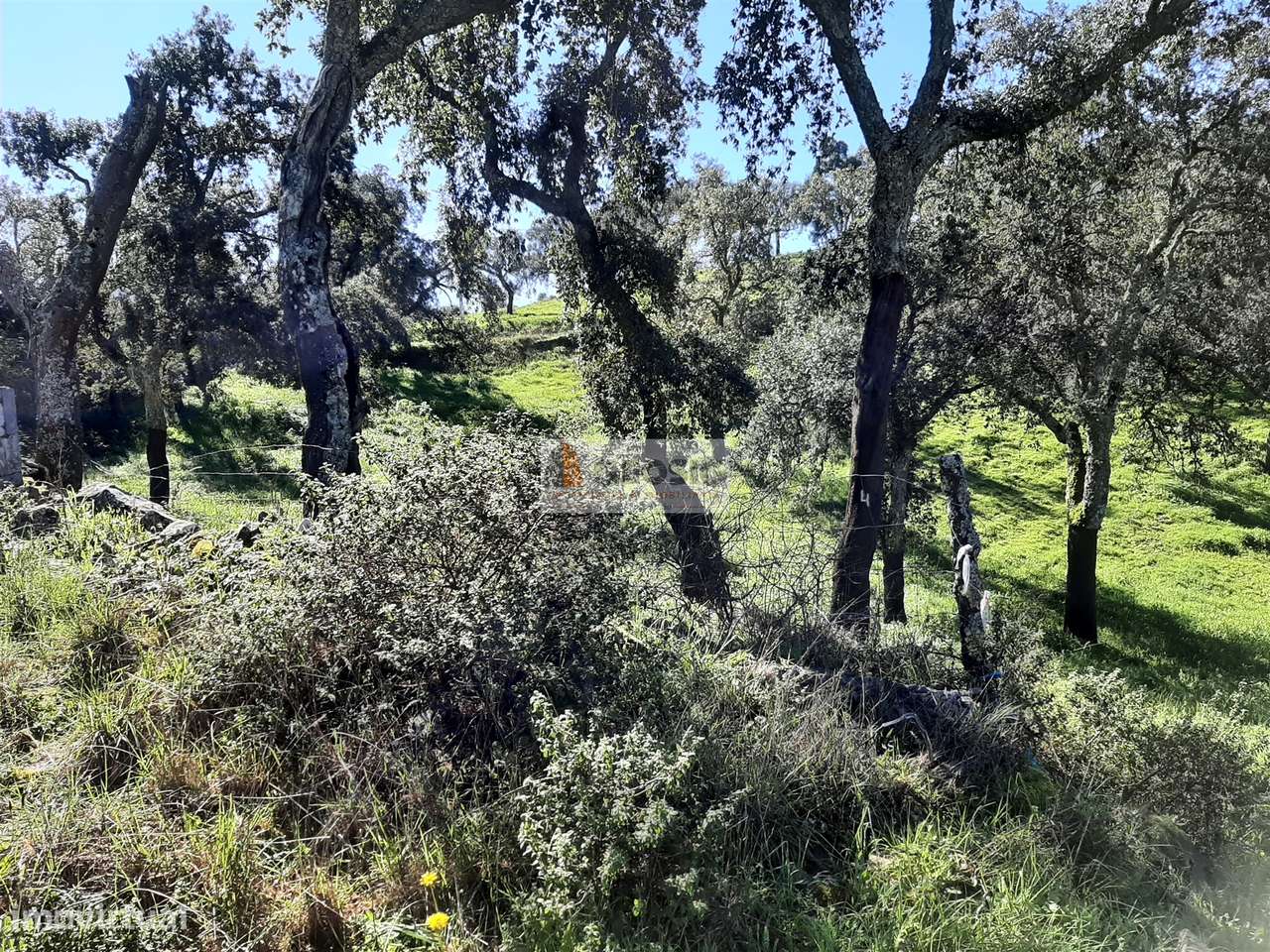 Terreno Rústico  Venda em São Barnabé,Almodôvar - Grande imagem: 4/6