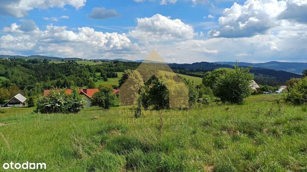 Działka budowlana - 1291 m2 - Jaworzynka-4