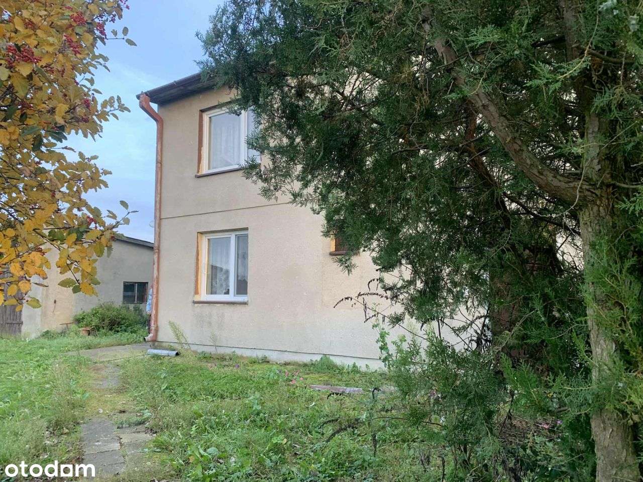 na sprzedaż siedlisko Ladorudz pow Koło-1