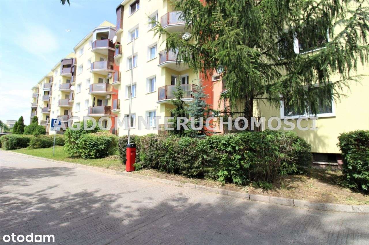 Przytulne mieszkanie - na sprzedaż-19