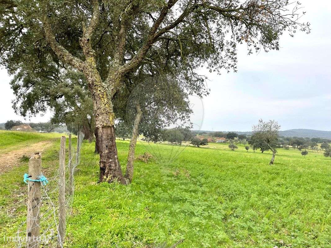 Terreno  para venda - Grande imagem: 5/5