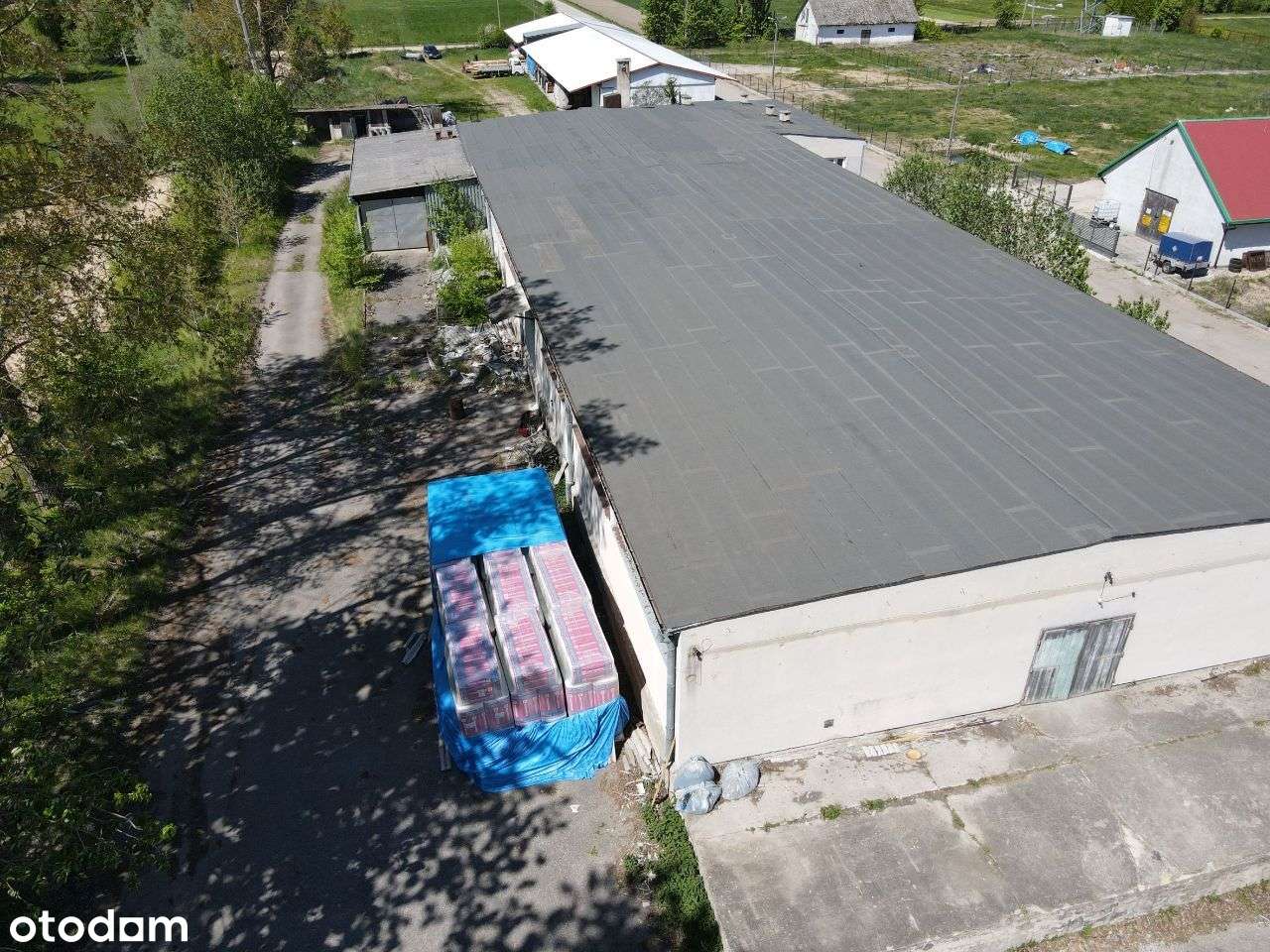 1232 m2 - murowana hala + inne, 9826 m2 terenu! - Pełny obrazek: 5/20