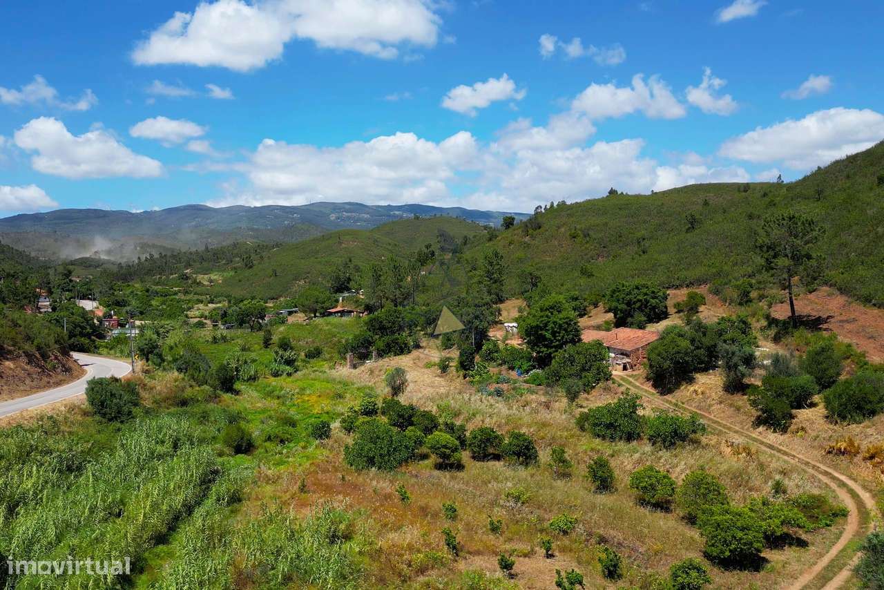Terreno rústico em Mexilhoeira Grande com cerca de 2,4 ha de horta e s - Grande imagem: 5/16