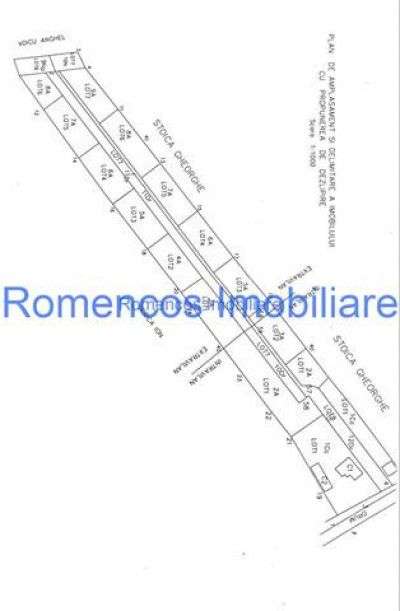 Solutii la cererea de loturi in Albota, str. Morlovani - Imagine principală: 3/9